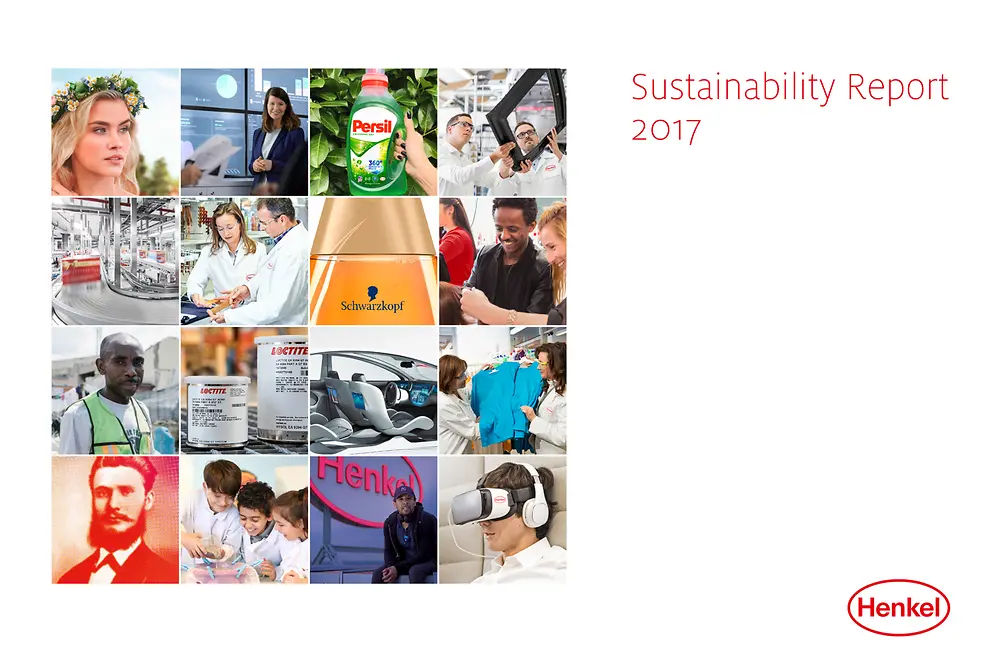 Rapport om hållbar utveckling 2017 (Cover)