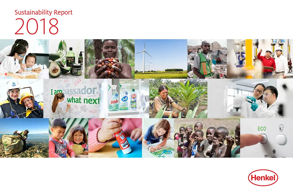Rapport om hållbar utveckling 2018 (Cover)