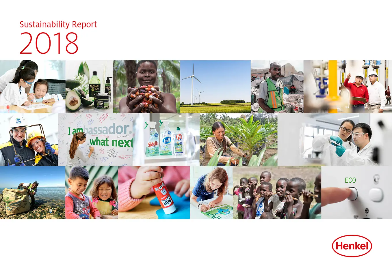 Rapport om hållbar utveckling 2018 (Cover)
